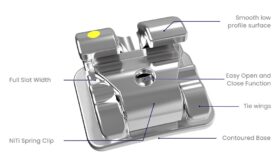 km22201 alpine sl two piece stainless steel brackets bioprogressive brachyfacial rx diagram